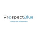 ProspectBlue company logo