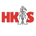 HKS Häusliche Krankenpflege-Station GmbH company logo
