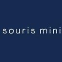Groupe Souris Mini company logo