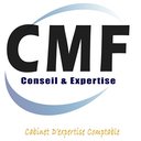 CMF CONSEIL company logo