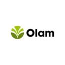 Olam company logo