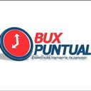 BUX PUNTUAL SA DE CV company logo