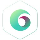 opteamis company logo