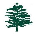 Timbers of Shorewood company logo
