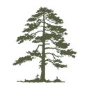 Cypress Rail Solutions LLC company logo