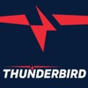 Thunderbird LLC. company logo