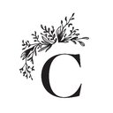 C'zar Salon Spa company logo