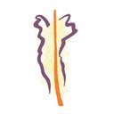 Raphaëlstichting company logo