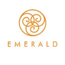 emerald jewel industry india ltd company logo
