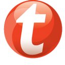 Tempo-Team company logo