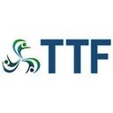 TTF Search and Staffing company logo