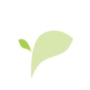 株式会社　ソーシャルカルミー company logo