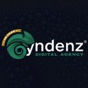 yndenz company logo