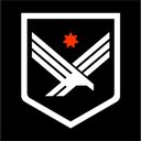 All Pro Security LLC company logo