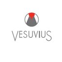 Vesuvius USA company logo