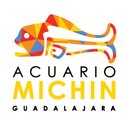 Acuario Michin company logo
