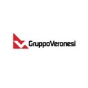 Veronesi Holding company logo