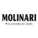 MOLINARI SRL company logo