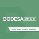 Bodesa SAPI de CV company logo