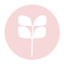 Red Aspen company logo