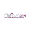 Platinumone Business Services Pvt Ltd company logo