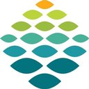 Northern Light Health company logo