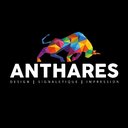 Anthares DSI company logo