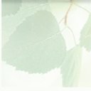 avatar-image