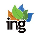 ING SRL company logo
