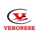 TRANSPORTADORA VERONESE LTDA company logo