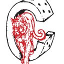 Cougar Sales & Rental Inc company logo