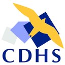 CDHS - CSP GIVORS company logo