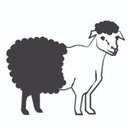 Shear Excellence company logo