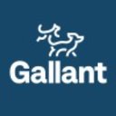 Gallant company logo