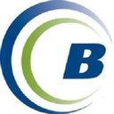 Birchstreet Systems company logo