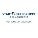 StadtWerke Delmenhorst GmbH company logo