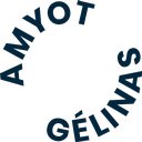 Amyot Gélinas company logo