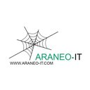 Araneo-IT B.V. company logo