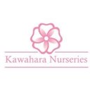 Kawahara Nurseries company logo