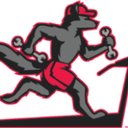 Huff-n-Puff Fitness Repair, LLC company logo