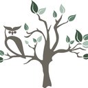 The Discovery Tree Academy company logo