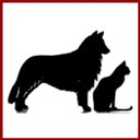 Williston Park Animal Hospital company logo