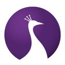 Fancit company logo