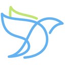 Spring Bird company logo