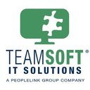 TeamSoft IT Solutions company logo