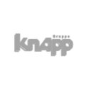 Knapp Service Koblenz GmbH company logo