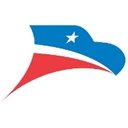 Diligent Delivery Systems company logo