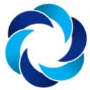 Blue Chip Pros company logo