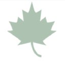 Sweet Tree Holdings company logo