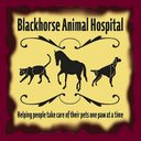 Blackhorse Animal Hospital company logo